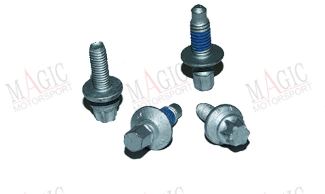 Śruby zabezpieczające sterowniki ECU VAG  MAGP0.5.2